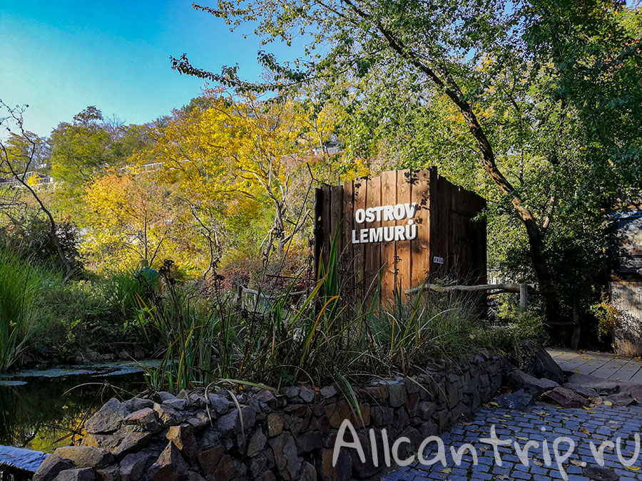 пражский зоопарк фото
