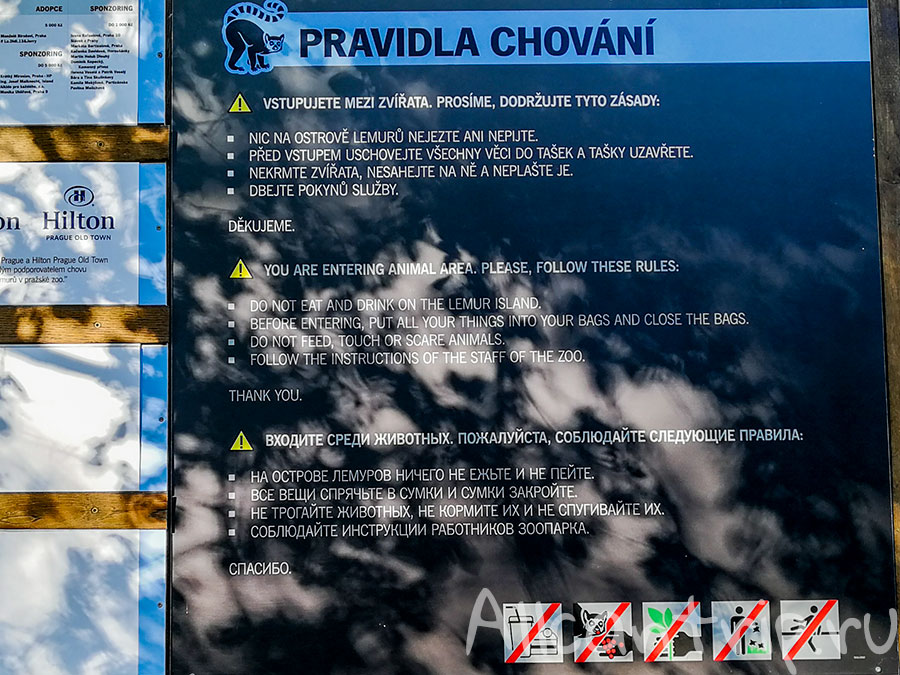 пражский зоопарк фото