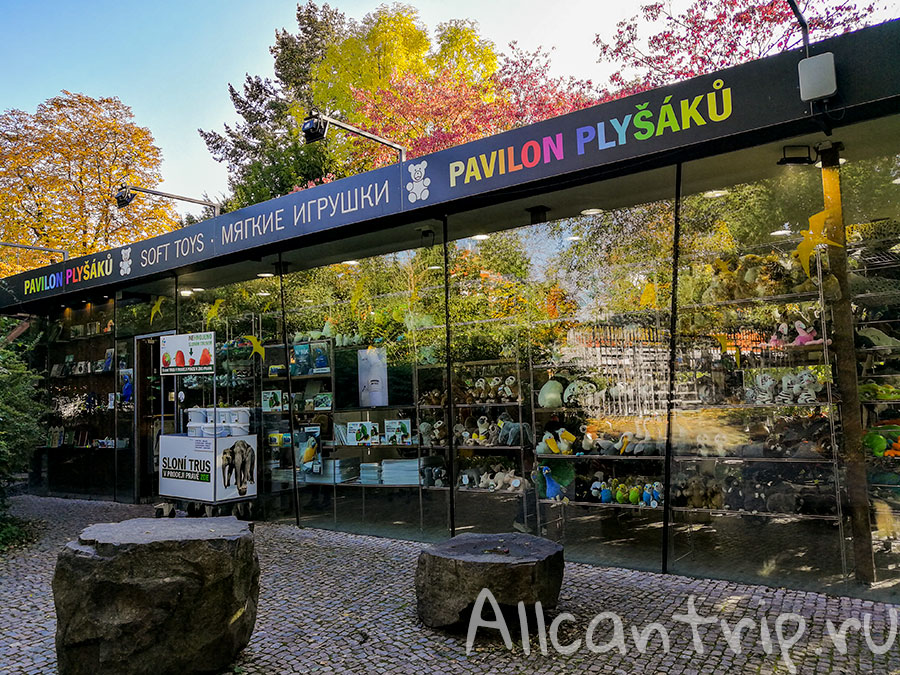 пражский зоопарк лемур