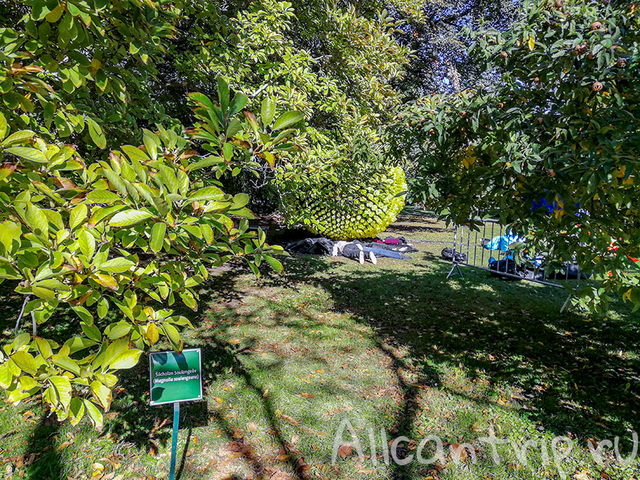 вояновы сады в Праге