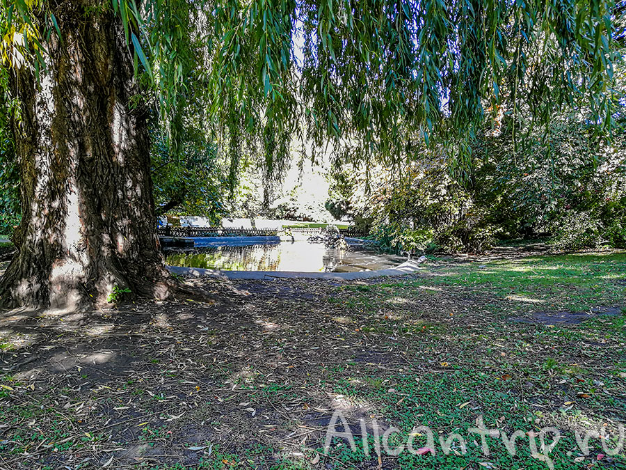 вояновы сады в Праге осенью