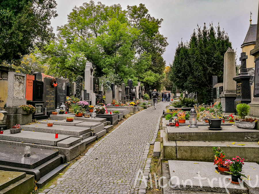 вышеградское кладбище