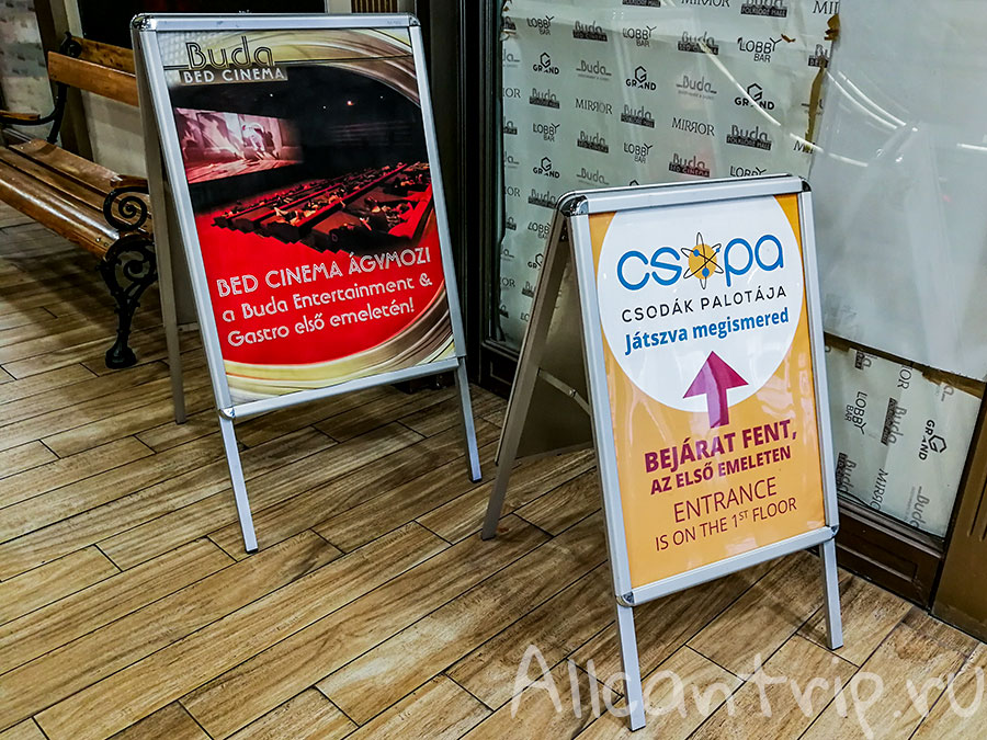 csopa в будапеште