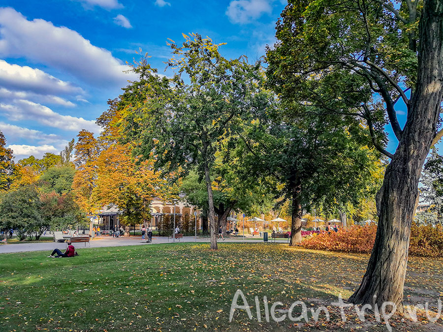 остров маргит будапешт
