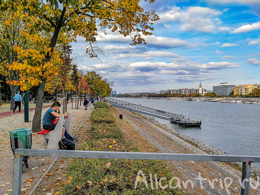 остров маргит будапешт