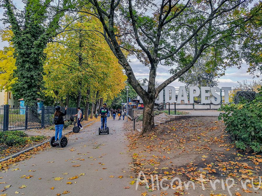 остров маргит будапешт