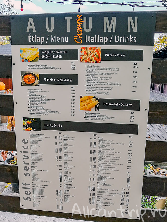 остров маргит будапешт кафе