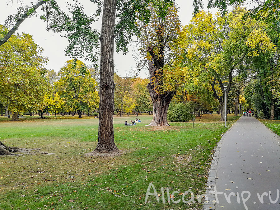 остров маргит будапешт