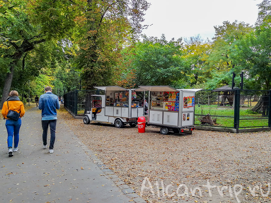 остров маргит будапешт