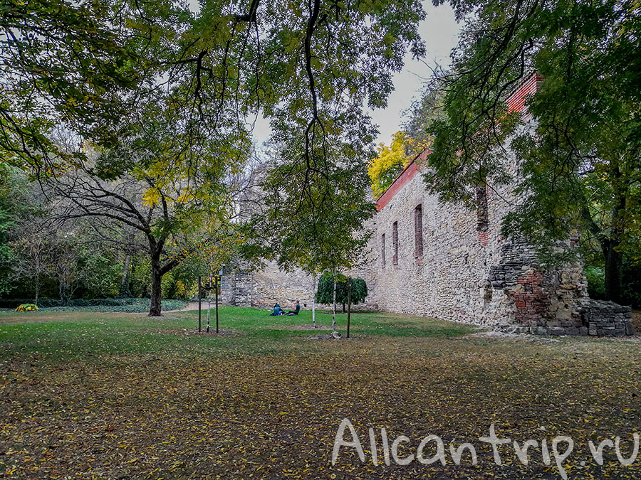 остров маргит будапешт