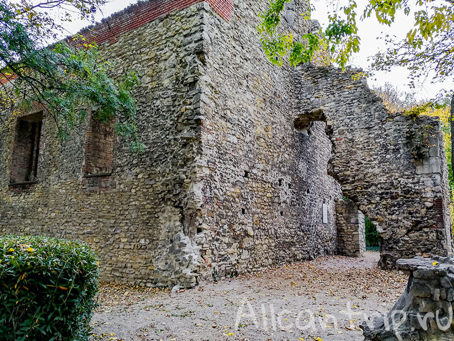 остров маргит будапешт 