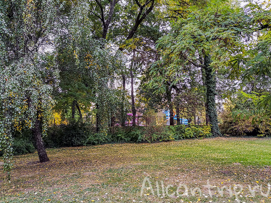 остров маргит будапешт