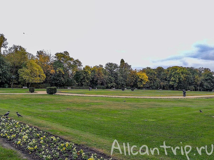 остров маргит будапешт