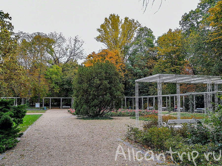 остров маргит будапешт