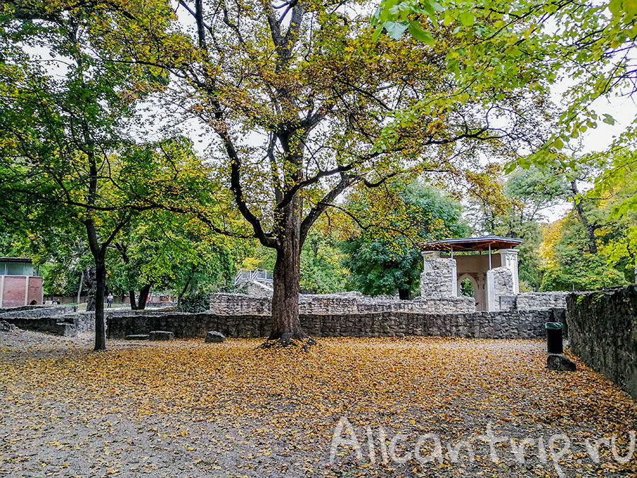 остров маргит будапешт