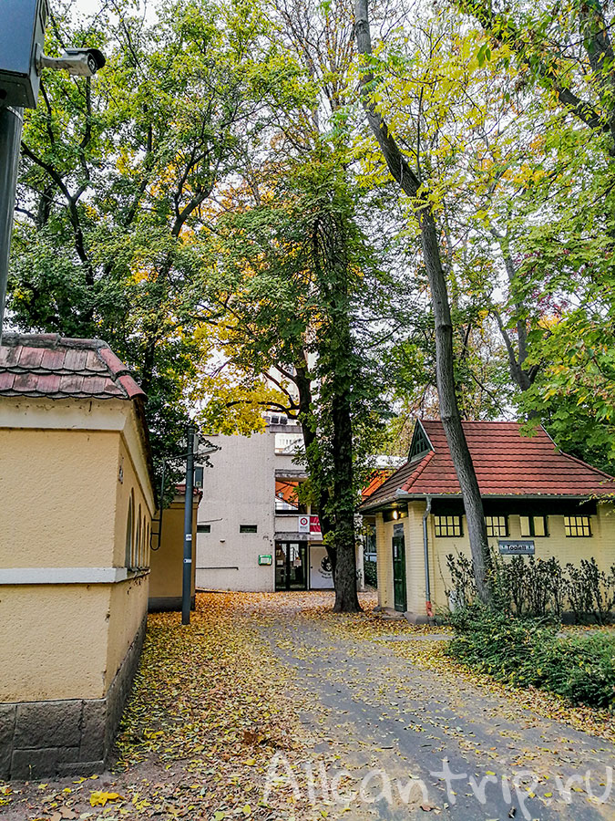 остров маргит будапешт