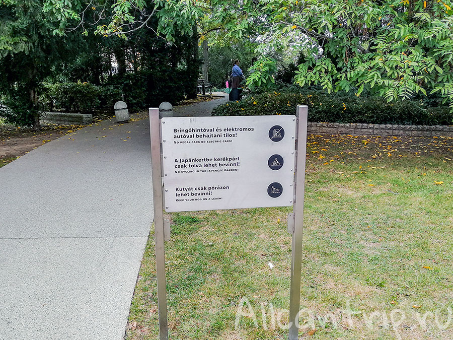 остров маргит будапешт