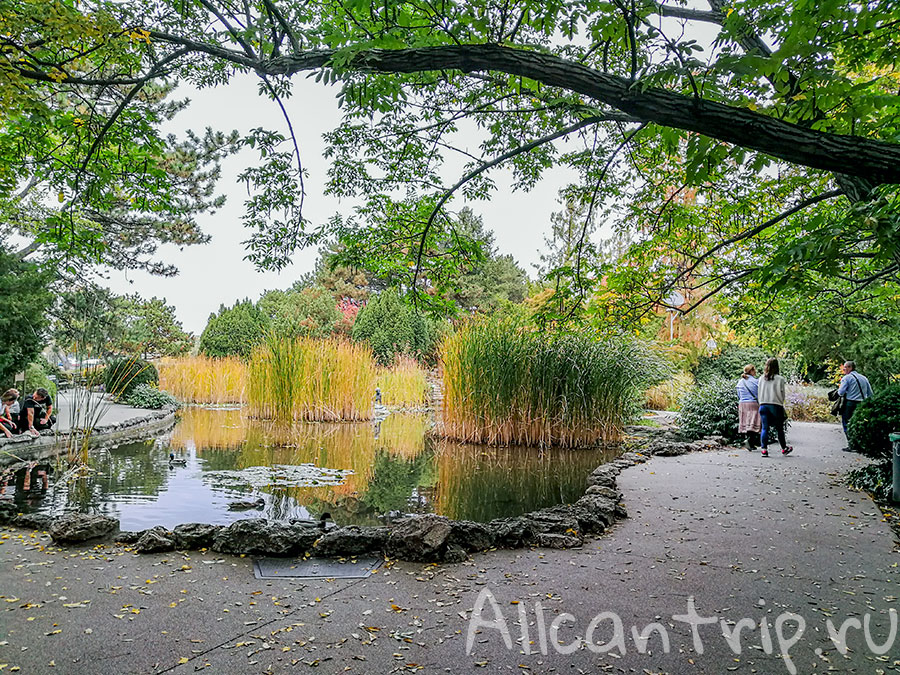 остров маргит будапешт