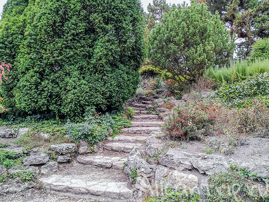 остров маргит будапешт