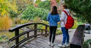 остров маргит будапешт японский сад