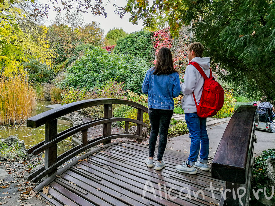 остров маргит будапешт японский сад