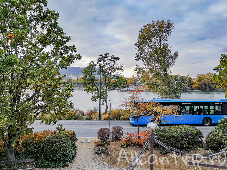 остров маргит будапешт японский сад