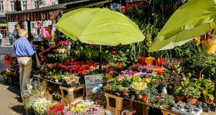 площадь Октогон Будапешт