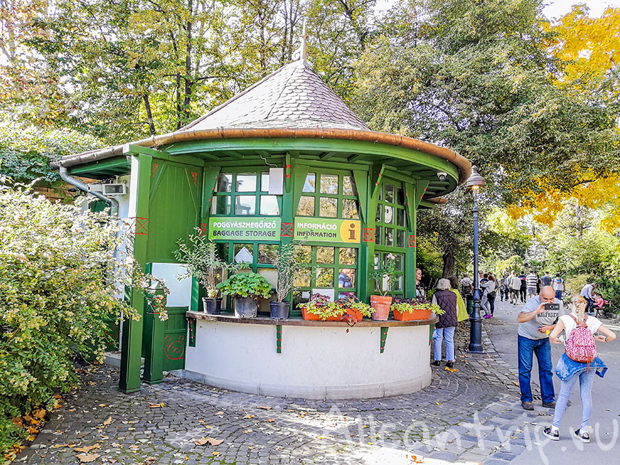 зоопарк в будапеште