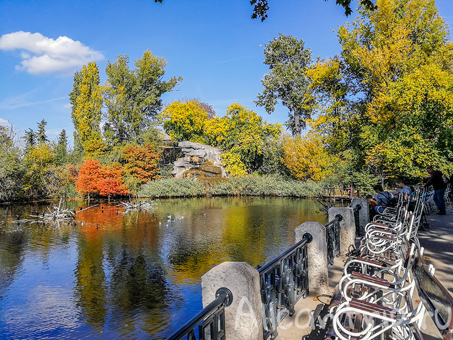зоопарк в будапеште фото