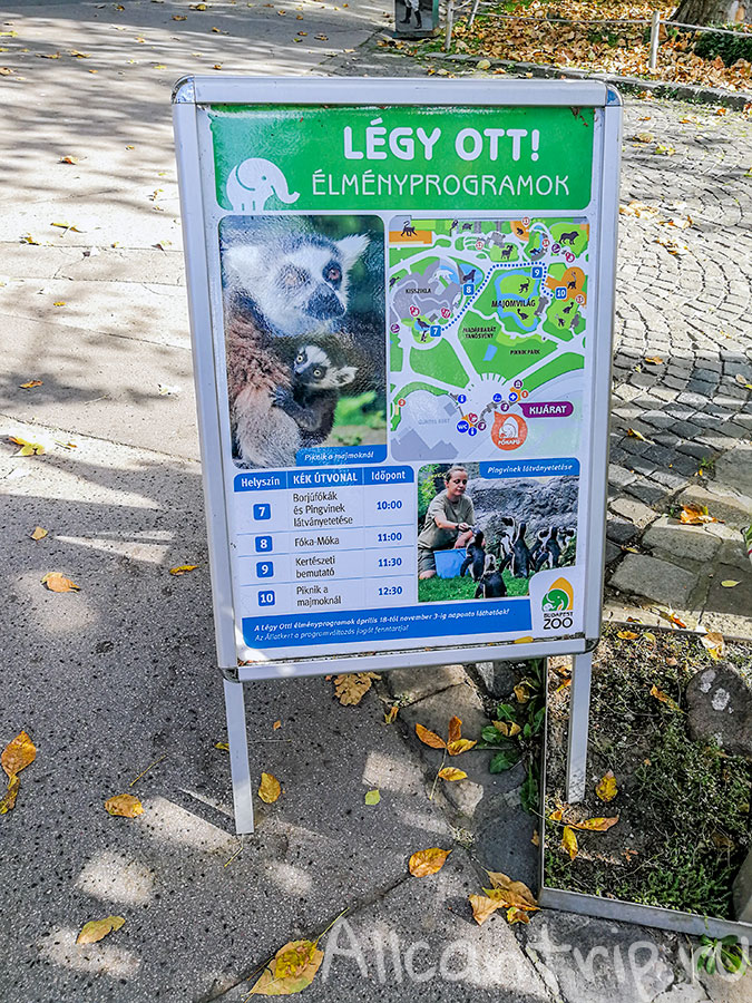 зоопарк в будапеште расписание