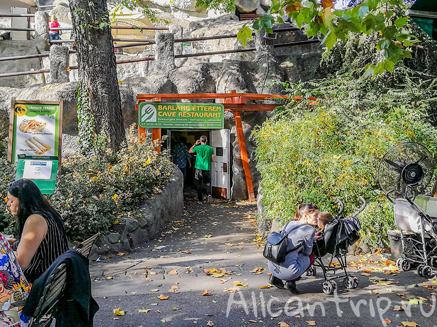 зоопарк в будапеште фото