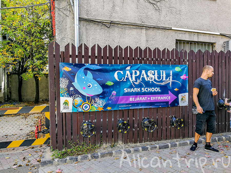 зоопарк в будапеште