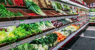 esselunga в милане