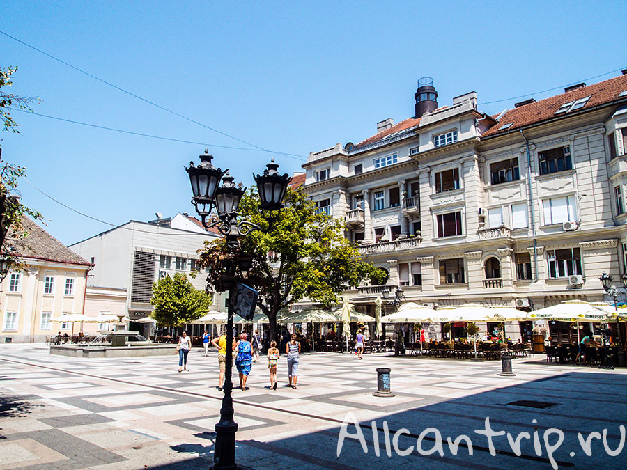 площадь свободы в нови саде фото