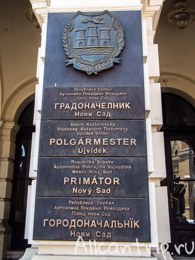 площадь свободы в нови саде