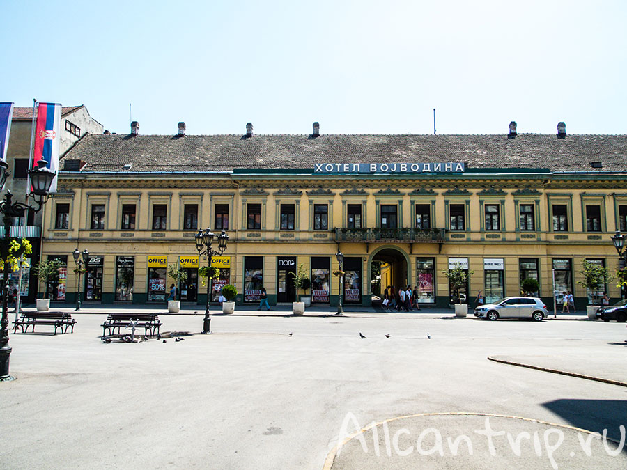 площадь свободы в нови саде